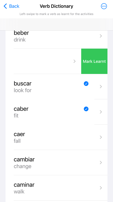 Spanish Verb Blitz Screenshot