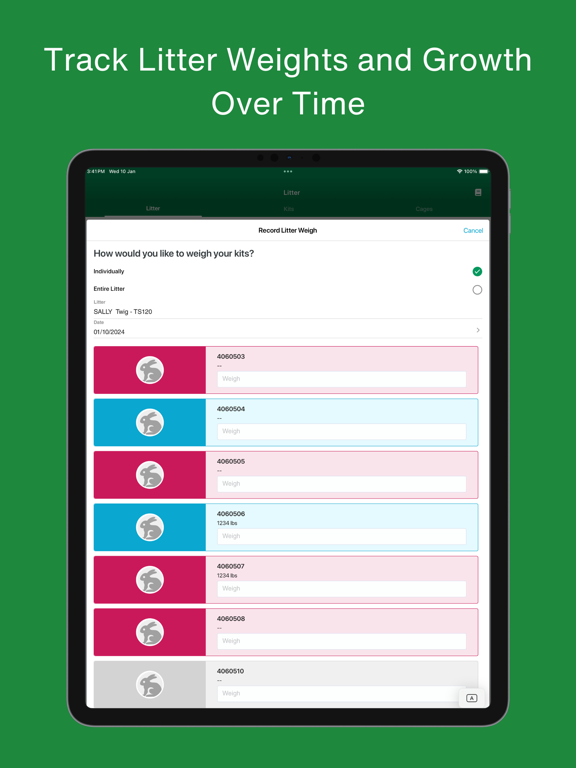Everbreed - Rabbit Records iPad screenshot 7 - Productivity app
