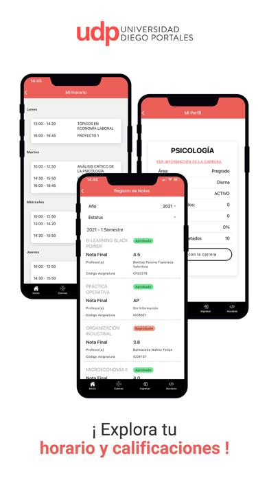 Conecta Udp Screenshot