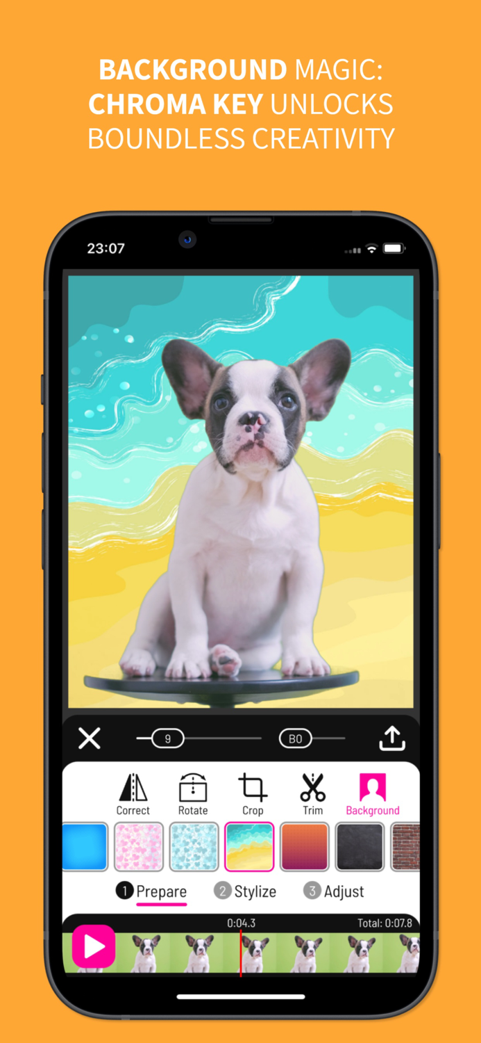 Toonita Video Pop Art Filters