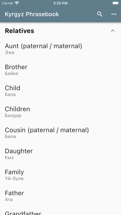 Kyrgyz Phrasebook Screenshot