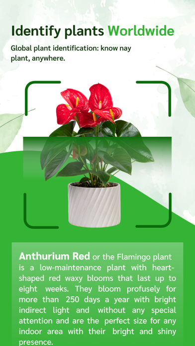 ARlens - Plant Identifier Screenshot