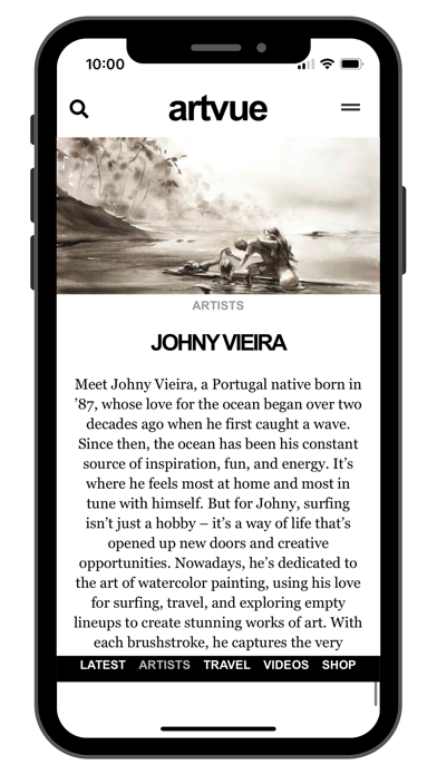 ArtVue Screenshot