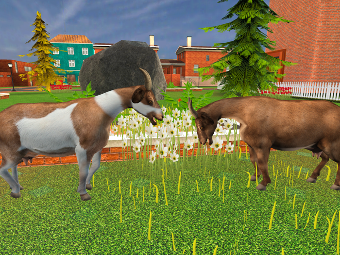 Animal Family Games Life