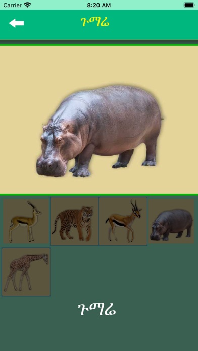 iLearn Tigrigna Words Screenshot