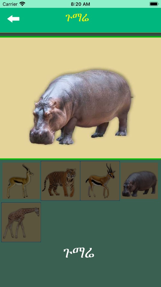 #7. iLearn Tigrigna Words (iOS) By: Patrick K Barusei