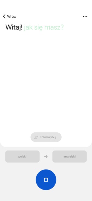 Aplikacja Tłumacz Google w App Store