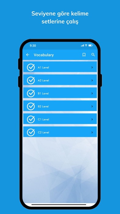 LingoVivo Screenshot