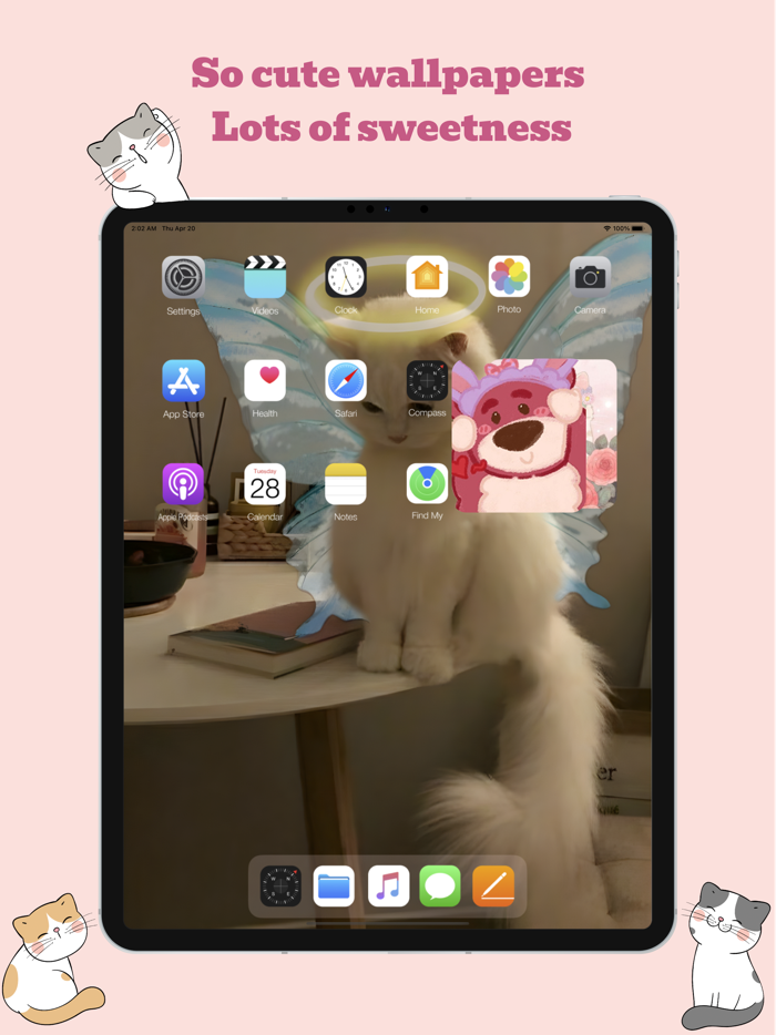 Meow Wallpapers