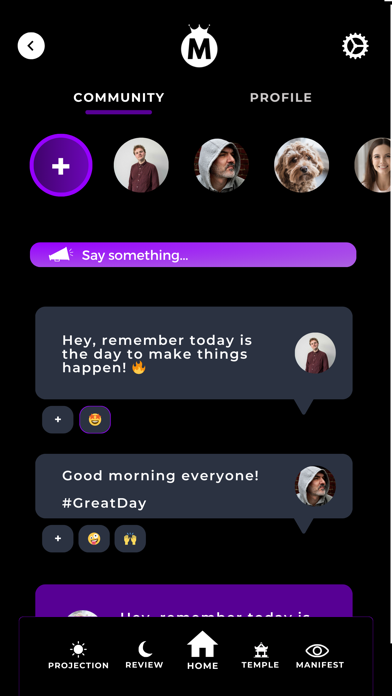 The Manifestation App Screenshot
