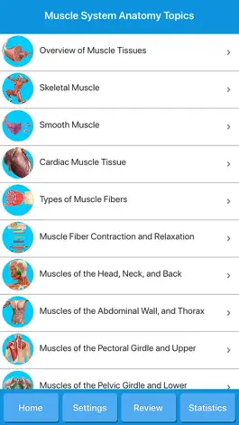 Game screenshot Muscle System Anatomy apk