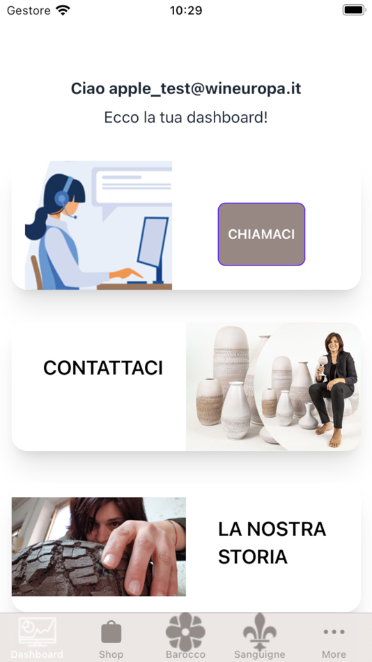 #2. Vecchia Deruta (iOS) 由: Win S.R.L