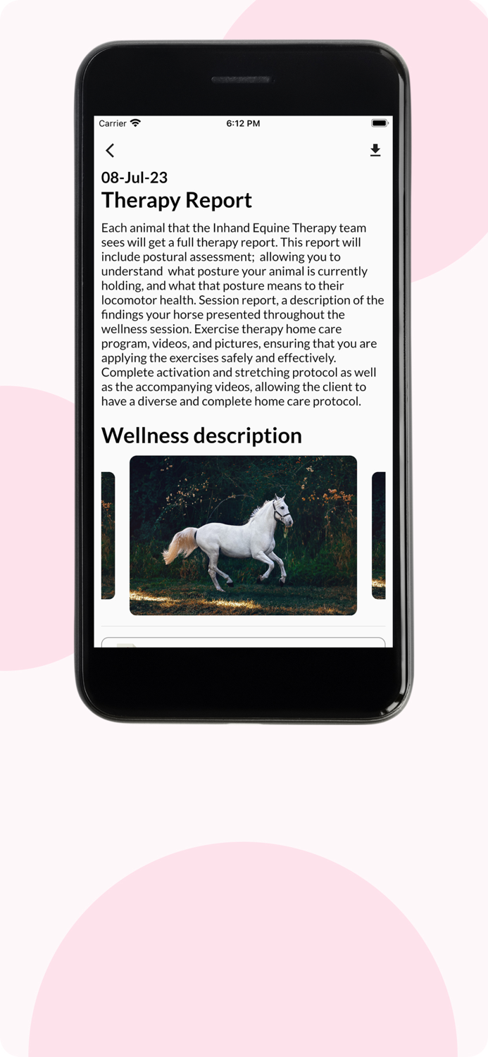 Inhand Equine Therapy