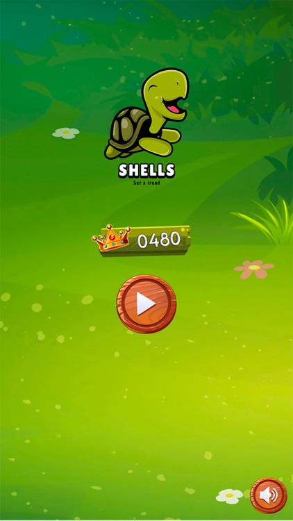 Shells Puzzle Game