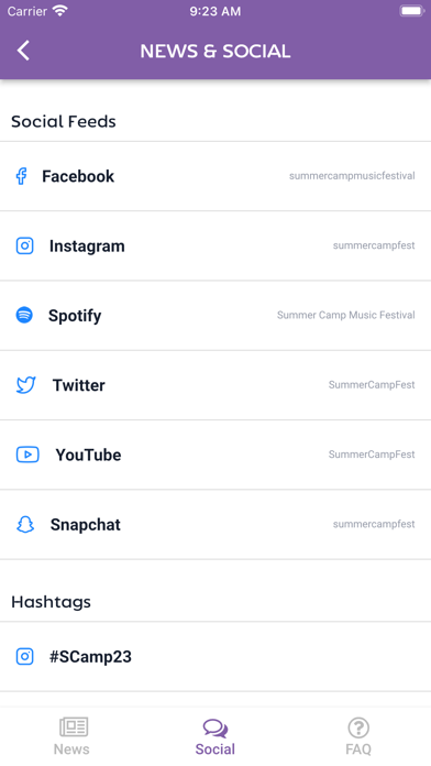 Summer Camp Music Festival Screenshot
