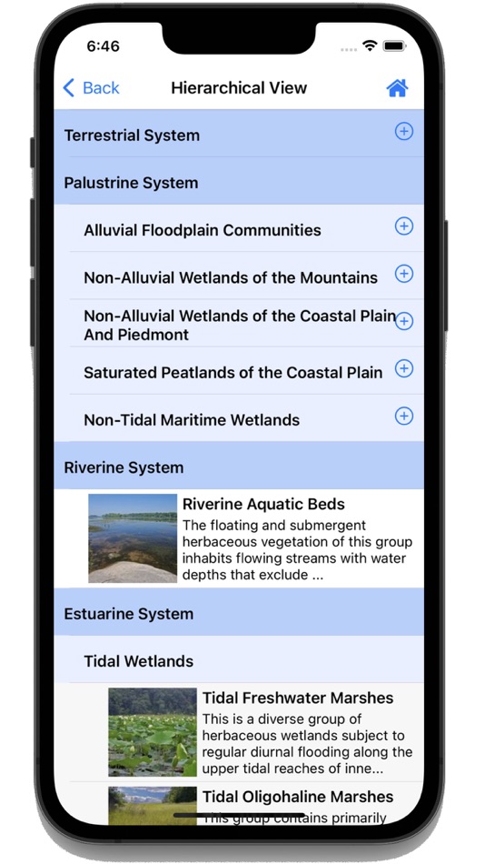 #7. Flora of Virginia (iOS) Podle: High Country Apps, LLC
