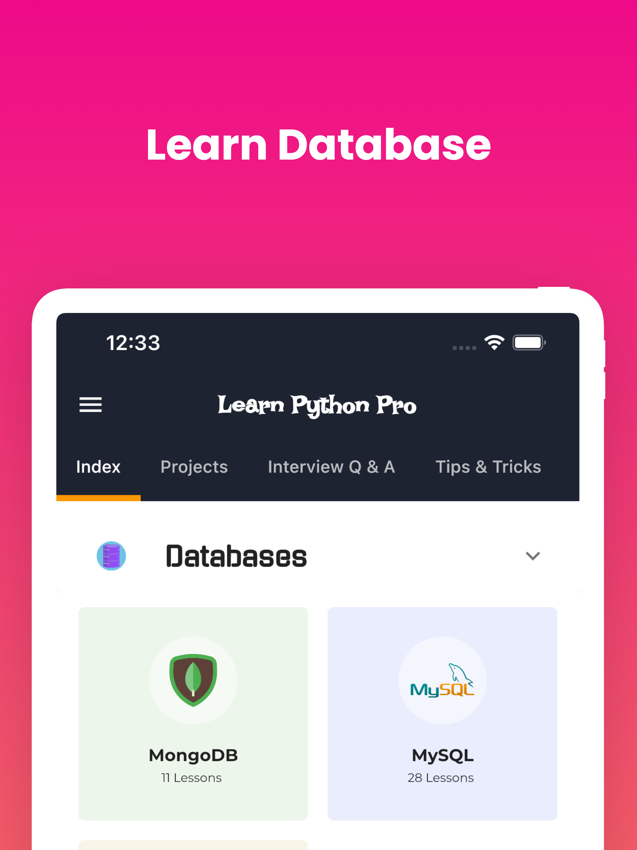 Learn Python Programming [Pro]