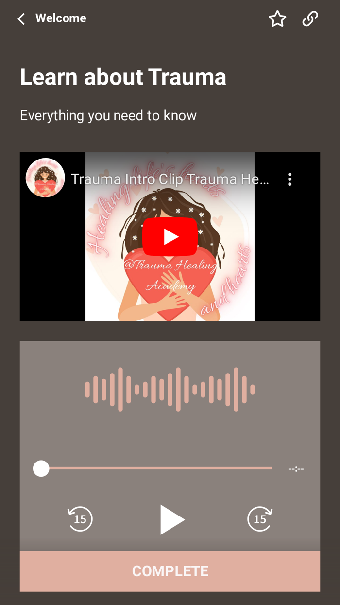 Trauma Healing Academy