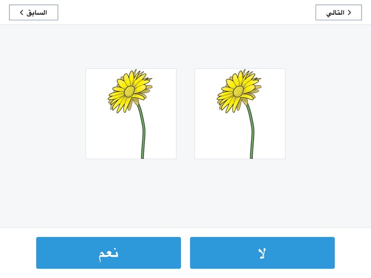 NIH Toolbox V3 Arabic screenshot-4