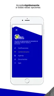 colegio mediadores de seguros iphone screenshot 3