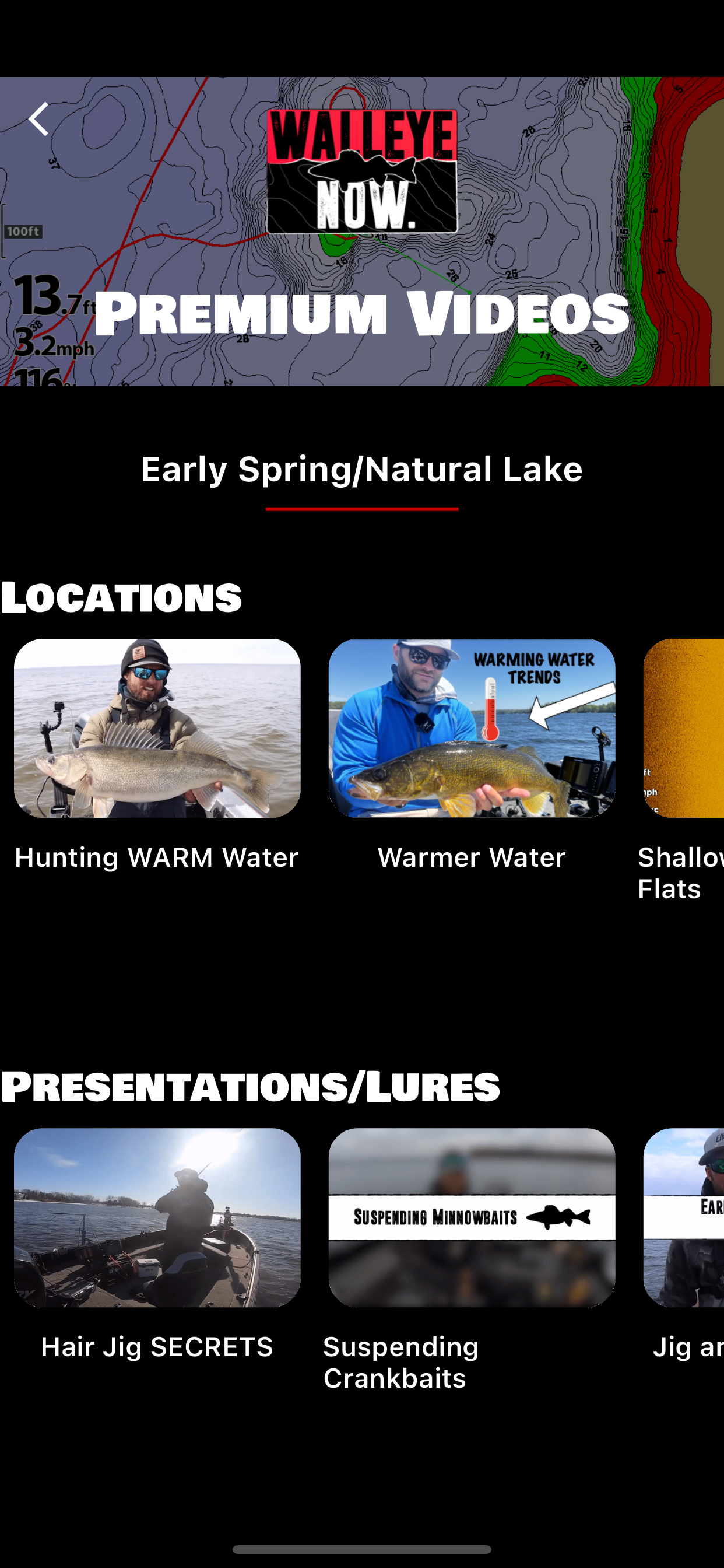 Walleye Now