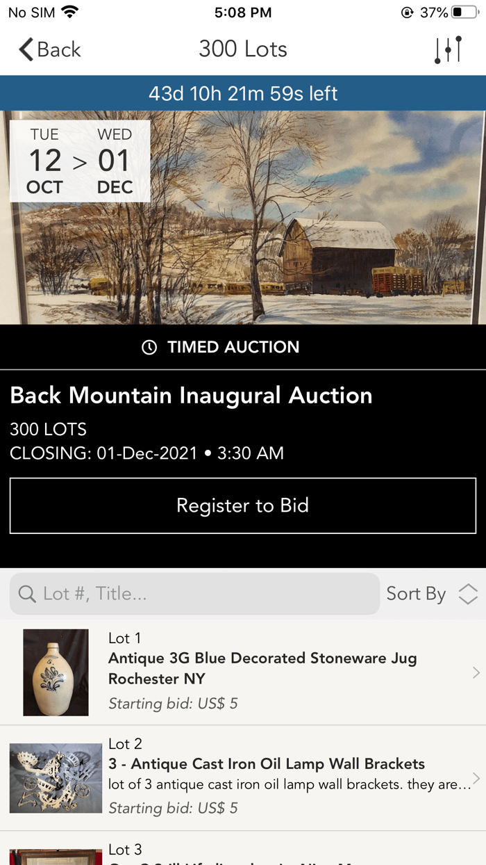 Back Mountain Auctions