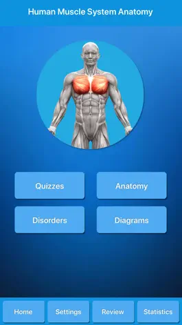 Game screenshot Muscle System Anatomy mod apk
