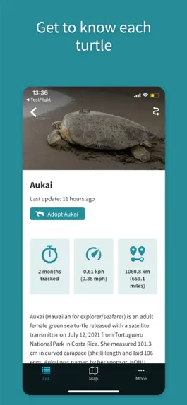 Game screenshot STC Turtle Tracker apk