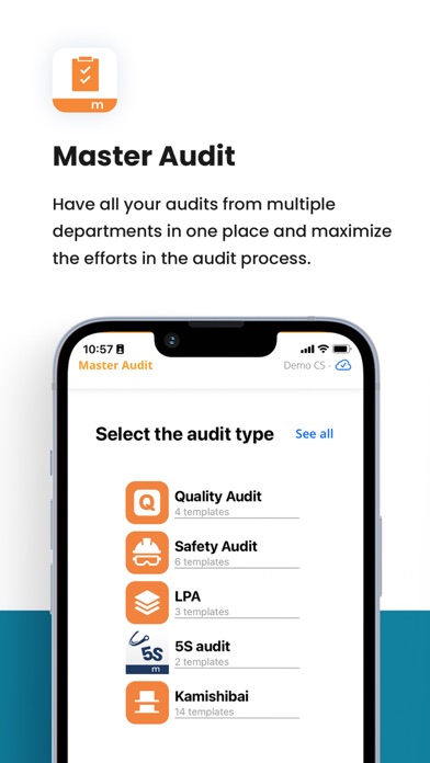 mPS Master Audit Screenshot