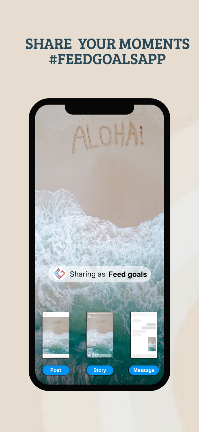 FEED GOALS  AESTHETIC EDITOR