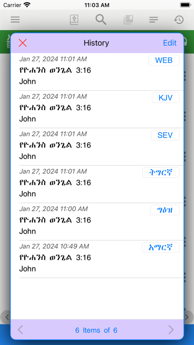 Amharic, Geez Bible with Audio Screenshot