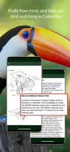 All Birds Colombia field guide screenshot #6 for iPhone