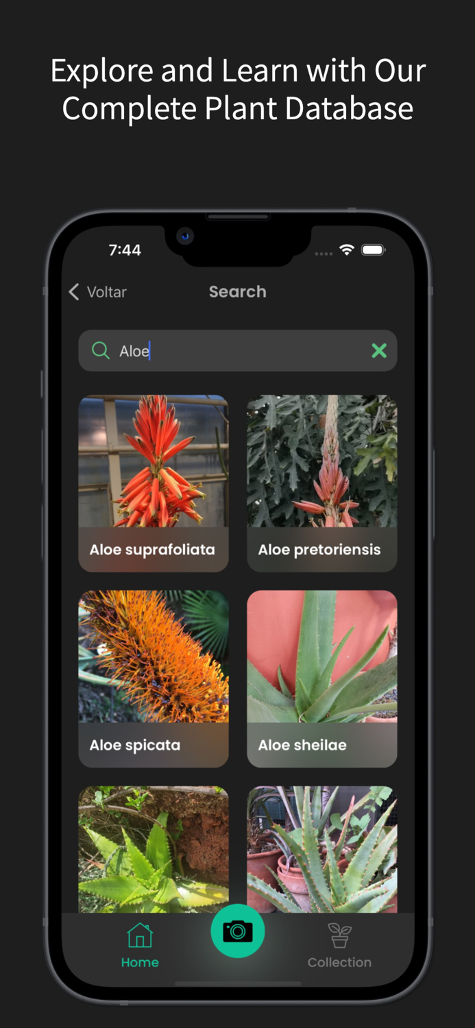 Plant identifier - LeafLens