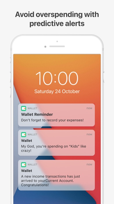 Wallet：個人財務＆金銭追跡のおすすめ画像10