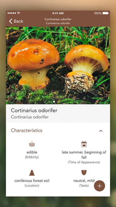 Mushrooms PRO - Hunting Safeのおすすめ画像4