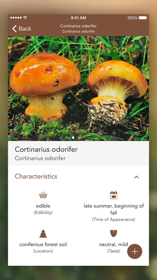 #4. Mushrooms PRO - Hunting Safe (iOS) 由: NATURE MOBILE