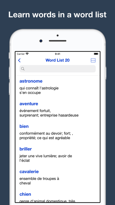 French Grammar and Vocabulary Screenshot