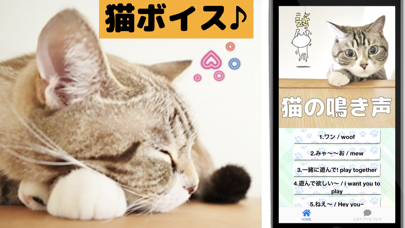 猫の鳴き声 猫からの応援メッセージ付きのおすすめ画像1