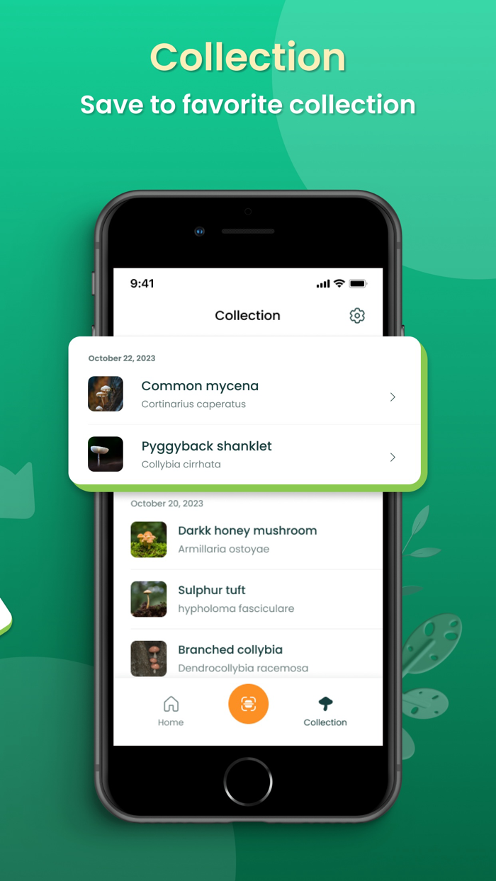 FungiSnap Mushroom Identifier