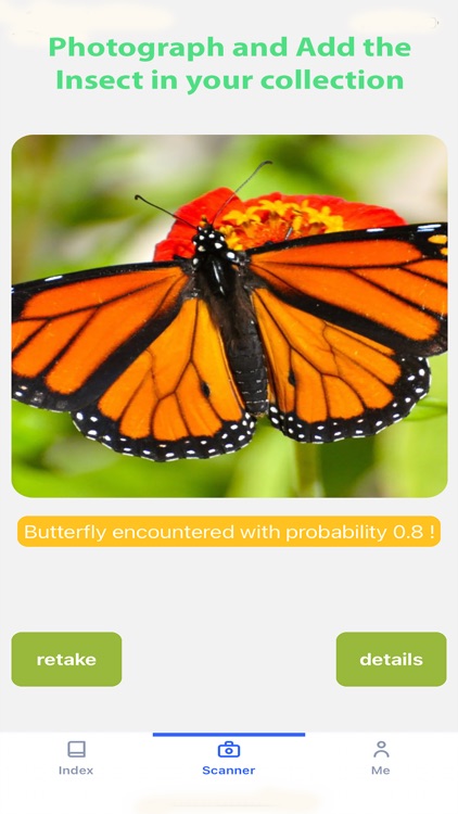 insect-rnapp screenshot-4