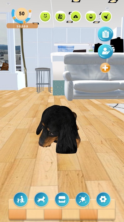 フォーエバーマイドッグ　Forever My Dog