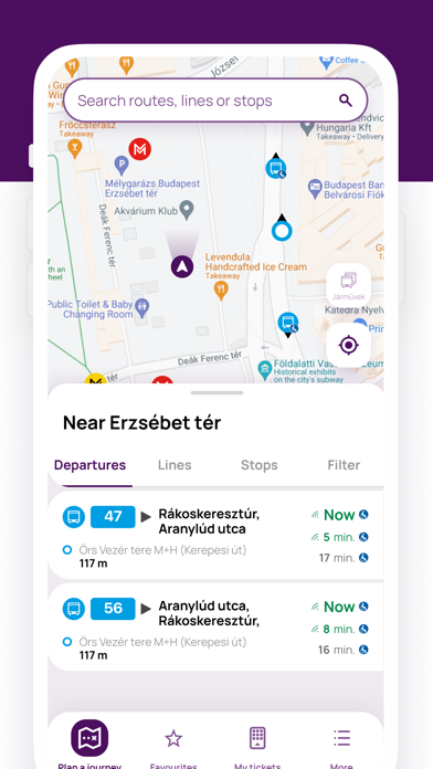 BudapestGO Screenshot