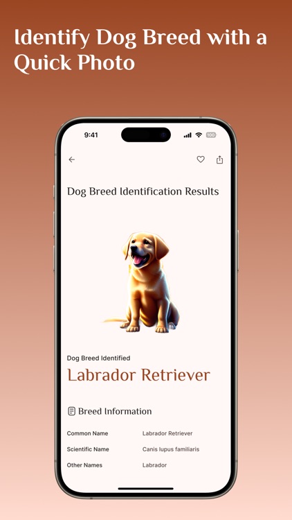 Dog Breed Identifier, Dogs