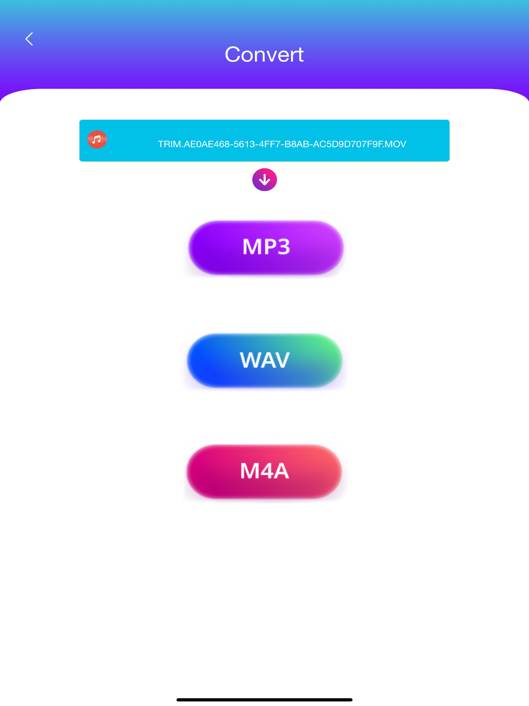 Audio Convert to MP3 M4A WAV