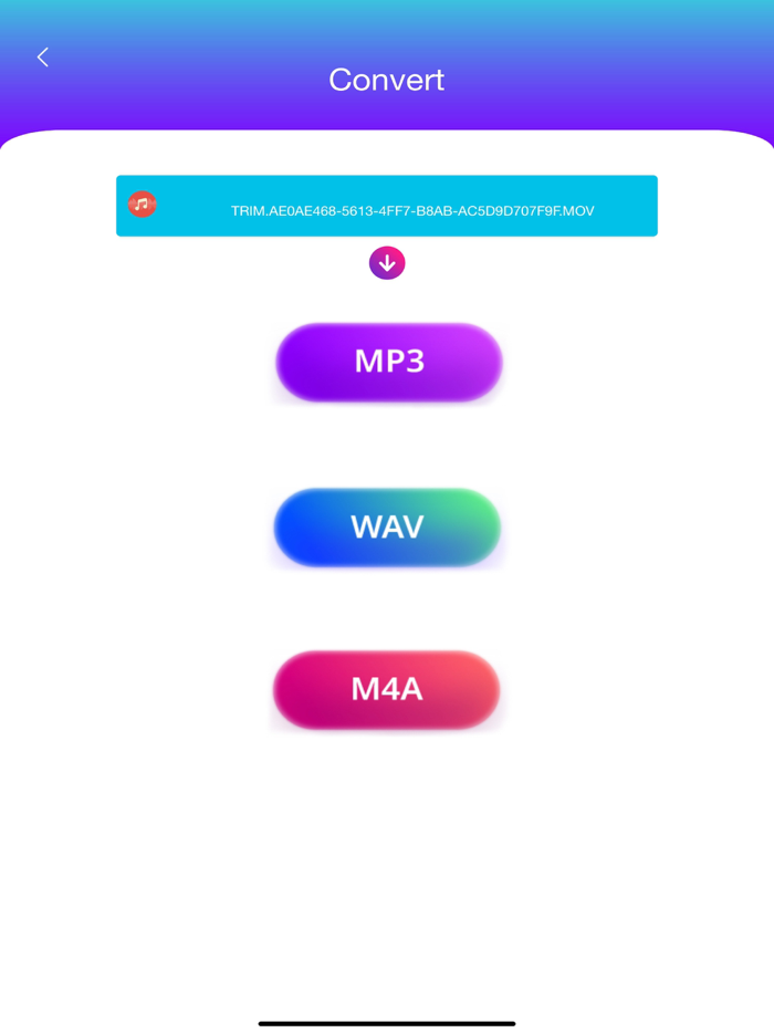 Audio Convert to MP3 M4A WAV