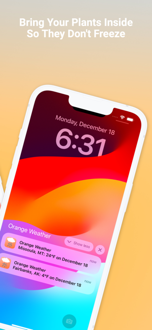 ‎Orange Weather Screenshot