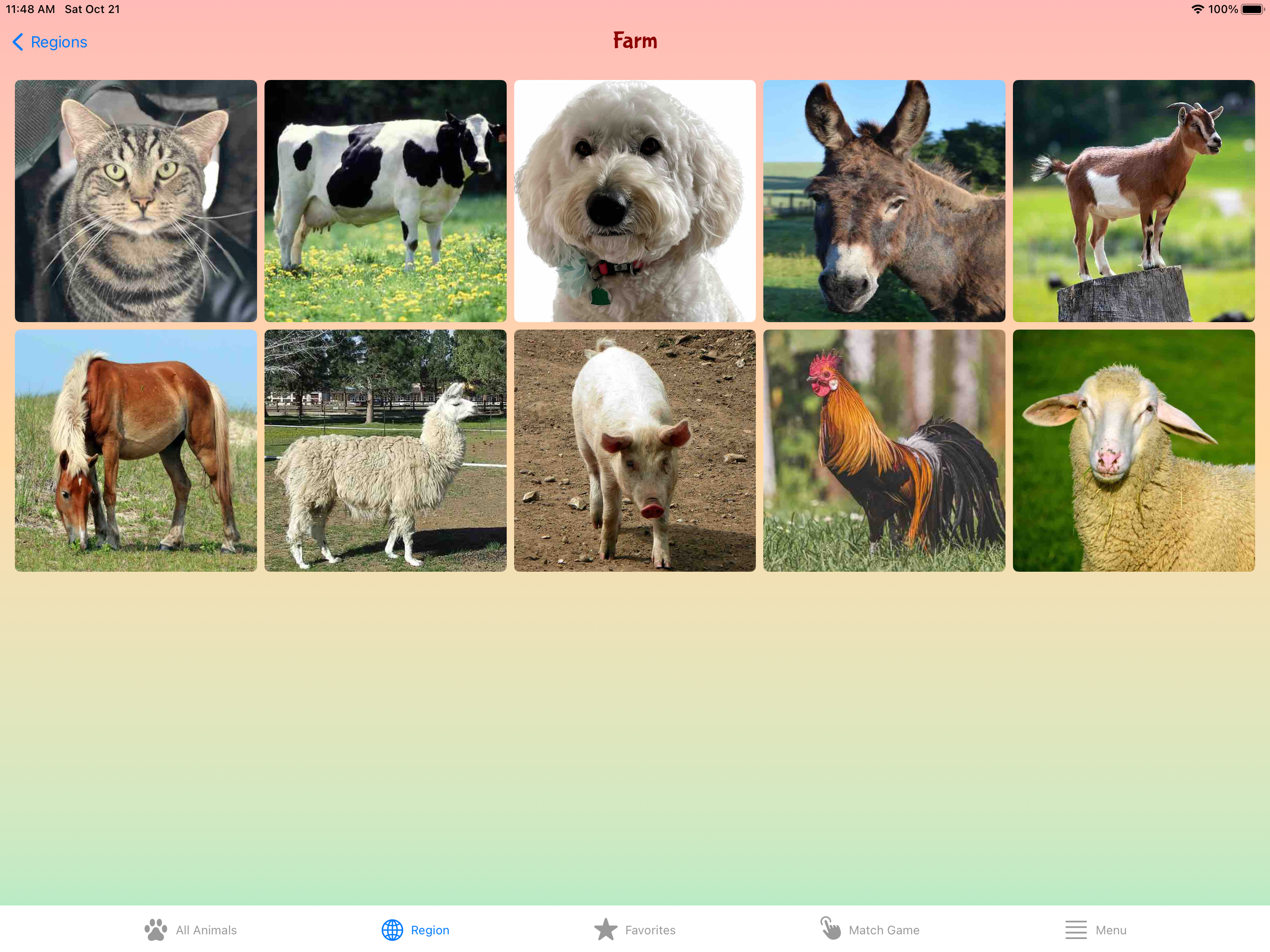 Fun With Animal Sounds