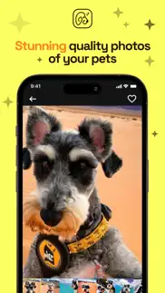 How to cancel & delete petflix picture studio 1