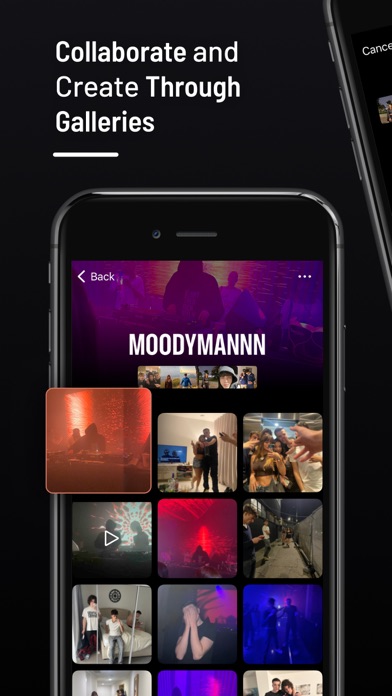 Gallerista - Photos & Videos Screenshot