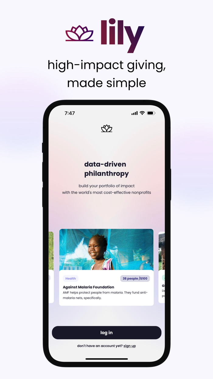 lily high-impact giving